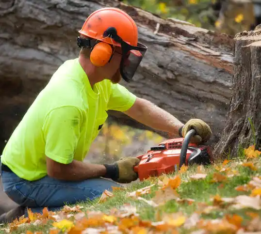 tree services Oaklyn